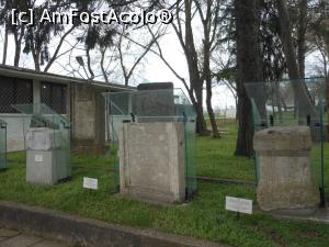 [P04] Cetatea Abritus - Lapidarium, în fața Muzeului Arheologic. » foto by iulianic
 - 
<span class="allrVoted glyphicon glyphicon-heart hidden" id="av1359081"></span>
<a class="m-l-10 hidden" id="sv1359081" onclick="voting_Foto_DelVot(,1359081,27982)" role="button">șterge vot <span class="glyphicon glyphicon-remove"></span></a>
<a id="v91359081" class=" c-red"  onclick="voting_Foto_SetVot(1359081)" role="button"><span class="glyphicon glyphicon-heart-empty"></span> <b>LIKE</b> = Votează poza</a> <img class="hidden"  id="f1359081W9" src="/imagini/loader.gif" border="0" /><span class="AjErrMes hidden" id="e1359081ErM"></span>