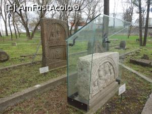 [P05] Cetatea Abritus - Lapidarium, în fața Muzeului Arheologic. » foto by iulianic
 - 
<span class="allrVoted glyphicon glyphicon-heart hidden" id="av1359082"></span>
<a class="m-l-10 hidden" id="sv1359082" onclick="voting_Foto_DelVot(,1359082,27982)" role="button">șterge vot <span class="glyphicon glyphicon-remove"></span></a>
<a id="v91359082" class=" c-red"  onclick="voting_Foto_SetVot(1359082)" role="button"><span class="glyphicon glyphicon-heart-empty"></span> <b>LIKE</b> = Votează poza</a> <img class="hidden"  id="f1359082W9" src="/imagini/loader.gif" border="0" /><span class="AjErrMes hidden" id="e1359082ErM"></span>