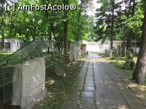 [P03] Lapidarium - unele pietre funerare sunt protejate cu sticlă - Abritus.  » foto by tata123 🔱
 - 
<span class="allrVoted glyphicon glyphicon-heart hidden" id="av868687"></span>
<a class="m-l-10 hidden" id="sv868687" onclick="voting_Foto_DelVot(,868687,27982)" role="button">șterge vot <span class="glyphicon glyphicon-remove"></span></a>
<a id="v9868687" class=" c-red"  onclick="voting_Foto_SetVot(868687)" role="button"><span class="glyphicon glyphicon-heart-empty"></span> <b>LIKE</b> = Votează poza</a> <img class="hidden"  id="f868687W9" src="/imagini/loader.gif" border="0" /><span class="AjErrMes hidden" id="e868687ErM"></span>