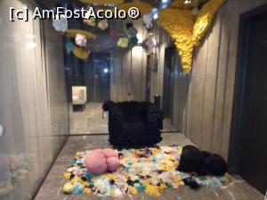 [P04] Hotel Odyssee-spatiu expozitional » foto by ile57b
 - 
<span class="allrVoted glyphicon glyphicon-heart hidden" id="av1359895"></span>
<a class="m-l-10 hidden" id="sv1359895" onclick="voting_Foto_DelVot(,1359895,27986)" role="button">șterge vot <span class="glyphicon glyphicon-remove"></span></a>
<a id="v91359895" class=" c-red"  onclick="voting_Foto_SetVot(1359895)" role="button"><span class="glyphicon glyphicon-heart-empty"></span> <b>LIKE</b> = Votează poza</a> <img class="hidden"  id="f1359895W9" src="/imagini/loader.gif" border="0" /><span class="AjErrMes hidden" id="e1359895ErM"></span>