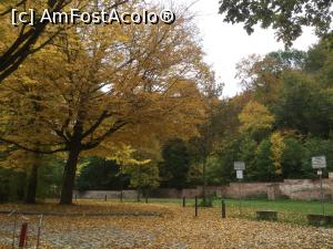 [P41] Landshut - toamna si frumusetea ei » foto by mishu
 - 
<span class="allrVoted glyphicon glyphicon-heart hidden" id="av1365234"></span>
<a class="m-l-10 hidden" id="sv1365234" onclick="voting_Foto_DelVot(,1365234,28035)" role="button">șterge vot <span class="glyphicon glyphicon-remove"></span></a>
<a id="v91365234" class=" c-red"  onclick="voting_Foto_SetVot(1365234)" role="button"><span class="glyphicon glyphicon-heart-empty"></span> <b>LIKE</b> = Votează poza</a> <img class="hidden"  id="f1365234W9" src="/imagini/loader.gif" border="0" /><span class="AjErrMes hidden" id="e1365234ErM"></span>