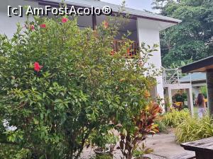 [P36] Tannette Villa » foto by robert
 - 
<span class="allrVoted glyphicon glyphicon-heart hidden" id="av1367645"></span>
<a class="m-l-10 hidden" id="sv1367645" onclick="voting_Foto_DelVot(,1367645,28051)" role="button">șterge vot <span class="glyphicon glyphicon-remove"></span></a>
<a id="v91367645" class=" c-red"  onclick="voting_Foto_SetVot(1367645)" role="button"><span class="glyphicon glyphicon-heart-empty"></span> <b>LIKE</b> = Votează poza</a> <img class="hidden"  id="f1367645W9" src="/imagini/loader.gif" border="0" /><span class="AjErrMes hidden" id="e1367645ErM"></span>