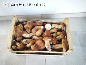 [P03] hribi proaspat culesi » foto by Catalina2023
 - 
<span class="allrVoted glyphicon glyphicon-heart hidden" id="av1372201"></span>
<a class="m-l-10 hidden" id="sv1372201" onclick="voting_Foto_DelVot(,1372201,28071)" role="button">șterge vot <span class="glyphicon glyphicon-remove"></span></a>
<a id="v91372201" class=" c-red"  onclick="voting_Foto_SetVot(1372201)" role="button"><span class="glyphicon glyphicon-heart-empty"></span> <b>LIKE</b> = Votează poza</a> <img class="hidden"  id="f1372201W9" src="/imagini/loader.gif" border="0" /><span class="AjErrMes hidden" id="e1372201ErM"></span>