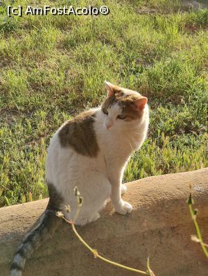 [P34] Finca Can Pina; Mau » foto by crismis
 - 
<span class="allrVoted glyphicon glyphicon-heart hidden" id="av1377679"></span>
<a class="m-l-10 hidden" id="sv1377679" onclick="voting_Foto_DelVot(,1377679,28149)" role="button">șterge vot <span class="glyphicon glyphicon-remove"></span></a>
<a id="v91377679" class=" c-red"  onclick="voting_Foto_SetVot(1377679)" role="button"><span class="glyphicon glyphicon-heart-empty"></span> <b>LIKE</b> = Votează poza</a> <img class="hidden"  id="f1377679W9" src="/imagini/loader.gif" border="0" /><span class="AjErrMes hidden" id="e1377679ErM"></span>
