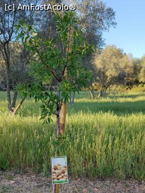 [P35] Finca Can Pina; migdali » foto by crismis
 - 
<span class="allrVoted glyphicon glyphicon-heart hidden" id="av1377680"></span>
<a class="m-l-10 hidden" id="sv1377680" onclick="voting_Foto_DelVot(,1377680,28149)" role="button">șterge vot <span class="glyphicon glyphicon-remove"></span></a>
<a id="v91377680" class=" c-red"  onclick="voting_Foto_SetVot(1377680)" role="button"><span class="glyphicon glyphicon-heart-empty"></span> <b>LIKE</b> = Votează poza</a> <img class="hidden"  id="f1377680W9" src="/imagini/loader.gif" border="0" /><span class="AjErrMes hidden" id="e1377680ErM"></span>
