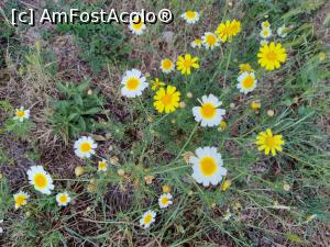 [P36] Finca Can Pina » foto by crismis
 - 
<span class="allrVoted glyphicon glyphicon-heart hidden" id="av1377681"></span>
<a class="m-l-10 hidden" id="sv1377681" onclick="voting_Foto_DelVot(,1377681,28149)" role="button">șterge vot <span class="glyphicon glyphicon-remove"></span></a>
<a id="v91377681" class=" c-red"  onclick="voting_Foto_SetVot(1377681)" role="button"><span class="glyphicon glyphicon-heart-empty"></span> <b>LIKE</b> = Votează poza</a> <img class="hidden"  id="f1377681W9" src="/imagini/loader.gif" border="0" /><span class="AjErrMes hidden" id="e1377681ErM"></span>