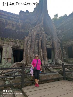 [P10] Templul Ta Phrom , sau Angelina Jolie Temple cum ii spun ei. Aici s-au filmat scene din Tomb Raider. » foto by Pușcașu Marin
 - 
<span class="allrVoted glyphicon glyphicon-heart hidden" id="av1384065"></span>
<a class="m-l-10 hidden" id="sv1384065" onclick="voting_Foto_DelVot(,1384065,28208)" role="button">șterge vot <span class="glyphicon glyphicon-remove"></span></a>
<a id="v91384065" class=" c-red"  onclick="voting_Foto_SetVot(1384065)" role="button"><span class="glyphicon glyphicon-heart-empty"></span> <b>LIKE</b> = Votează poza</a> <img class="hidden"  id="f1384065W9" src="/imagini/loader.gif" border="0" /><span class="AjErrMes hidden" id="e1384065ErM"></span>