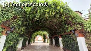 [P19] Arcada umbroasă. » foto by tata123 🔱
 - 
<span class="allrVoted glyphicon glyphicon-heart hidden" id="av1382223"></span>
<a class="m-l-10 hidden" id="sv1382223" onclick="voting_Foto_DelVot(,1382223,28210)" role="button">șterge vot <span class="glyphicon glyphicon-remove"></span></a>
<a id="v91382223" class=" c-red"  onclick="voting_Foto_SetVot(1382223)" role="button"><span class="glyphicon glyphicon-heart-empty"></span> <b>LIKE</b> = Votează poza</a> <img class="hidden"  id="f1382223W9" src="/imagini/loader.gif" border="0" /><span class="AjErrMes hidden" id="e1382223ErM"></span>