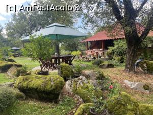 [P38] Pensiunea "Casa Bunicului" - prin curte » foto by mishu
 - 
<span class="allrVoted glyphicon glyphicon-heart hidden" id="av1386474"></span>
<a class="m-l-10 hidden" id="sv1386474" onclick="voting_Foto_DelVot(,1386474,28224)" role="button">șterge vot <span class="glyphicon glyphicon-remove"></span></a>
<a id="v91386474" class=" c-red"  onclick="voting_Foto_SetVot(1386474)" role="button"><span class="glyphicon glyphicon-heart-empty"></span> <b>LIKE</b> = Votează poza</a> <img class="hidden"  id="f1386474W9" src="/imagini/loader.gif" border="0" /><span class="AjErrMes hidden" id="e1386474ErM"></span>