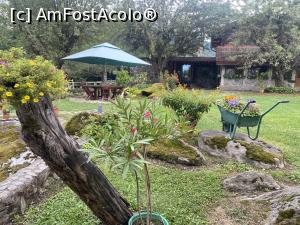 [P50] Pensiunea "Casa Bunicului" - prin curte » foto by mishu
 - 
<span class="allrVoted glyphicon glyphicon-heart hidden" id="av1386491"></span>
<a class="m-l-10 hidden" id="sv1386491" onclick="voting_Foto_DelVot(,1386491,28224)" role="button">șterge vot <span class="glyphicon glyphicon-remove"></span></a>
<a id="v91386491" class=" c-red"  onclick="voting_Foto_SetVot(1386491)" role="button"><span class="glyphicon glyphicon-heart-empty"></span> <b>LIKE</b> = Votează poza</a> <img class="hidden"  id="f1386491W9" src="/imagini/loader.gif" border="0" /><span class="AjErrMes hidden" id="e1386491ErM"></span>