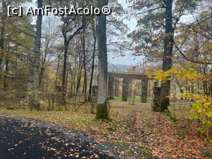 [P08] Monumentul eroilor - intregrat cumva in natura » foto by Trank
 - 
<span class="allrVoted glyphicon glyphicon-heart hidden" id="av1389113"></span>
<a class="m-l-10 hidden" id="sv1389113" onclick="voting_Foto_DelVot(,1389113,28249)" role="button">șterge vot <span class="glyphicon glyphicon-remove"></span></a>
<a id="v91389113" class=" c-red"  onclick="voting_Foto_SetVot(1389113)" role="button"><span class="glyphicon glyphicon-heart-empty"></span> <b>LIKE</b> = Votează poza</a> <img class="hidden"  id="f1389113W9" src="/imagini/loader.gif" border="0" /><span class="AjErrMes hidden" id="e1389113ErM"></span>