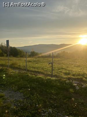 [P01] Soarele, de peste dealuri, dimineața pe răcoare » foto by krisstinna
 - 
<span class="allrVoted glyphicon glyphicon-heart hidden" id="av1391451"></span>
<a class="m-l-10 hidden" id="sv1391451" onclick="voting_Foto_DelVot(,1391451,28269)" role="button">șterge vot <span class="glyphicon glyphicon-remove"></span></a>
<a id="v91391451" class=" c-red"  onclick="voting_Foto_SetVot(1391451)" role="button"><span class="glyphicon glyphicon-heart-empty"></span> <b>LIKE</b> = Votează poza</a> <img class="hidden"  id="f1391451W9" src="/imagini/loader.gif" border="0" /><span class="AjErrMes hidden" id="e1391451ErM"></span>