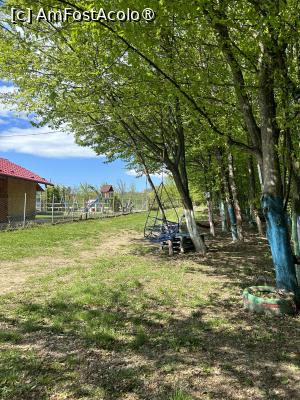 [P53] Lângă camping, in buza pădurii » foto by krisstinna
 - 
<span class="allrVoted glyphicon glyphicon-heart hidden" id="av1391503"></span>
<a class="m-l-10 hidden" id="sv1391503" onclick="voting_Foto_DelVot(,1391503,28269)" role="button">șterge vot <span class="glyphicon glyphicon-remove"></span></a>
<a id="v91391503" class=" c-red"  onclick="voting_Foto_SetVot(1391503)" role="button"><span class="glyphicon glyphicon-heart-empty"></span> <b>LIKE</b> = Votează poza</a> <img class="hidden"  id="f1391503W9" src="/imagini/loader.gif" border="0" /><span class="AjErrMes hidden" id="e1391503ErM"></span>