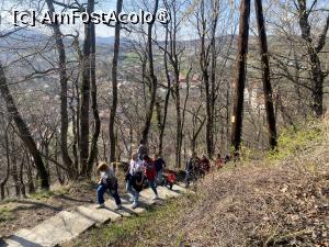 [P28] Intalnirea AFA Paltinis 2024 - colegii ne urmau vitejeste » foto by mishu
 - 
<span class="allrVoted glyphicon glyphicon-heart hidden" id="av1419832"></span>
<a class="m-l-10 hidden" id="sv1419832" onclick="voting_Foto_DelVot(,1419832,28282)" role="button">șterge vot <span class="glyphicon glyphicon-remove"></span></a>
<a id="v91419832" class=" c-red"  onclick="voting_Foto_SetVot(1419832)" role="button"><span class="glyphicon glyphicon-heart-empty"></span> <b>LIKE</b> = Votează poza</a> <img class="hidden"  id="f1419832W9" src="/imagini/loader.gif" border="0" /><span class="AjErrMes hidden" id="e1419832ErM"></span>
