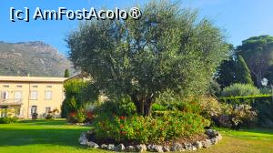 [P05] Villa del Papa - grădina și vedere parțială către corpul cu recepția » foto by k-lator
 - 
<span class="allrVoted glyphicon glyphicon-heart hidden" id="av1396648"></span>
<a class="m-l-10 hidden" id="sv1396648" onclick="voting_Foto_DelVot(,1396648,28311)" role="button">șterge vot <span class="glyphicon glyphicon-remove"></span></a>
<a id="v91396648" class=" c-red"  onclick="voting_Foto_SetVot(1396648)" role="button"><span class="glyphicon glyphicon-heart-empty"></span> <b>LIKE</b> = Votează poza</a> <img class="hidden"  id="f1396648W9" src="/imagini/loader.gif" border="0" /><span class="AjErrMes hidden" id="e1396648ErM"></span>