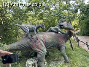 [P11] Dino Park Funtana » foto by krisstinna
 - 
<span class="allrVoted glyphicon glyphicon-heart hidden" id="av1397235"></span>
<a class="m-l-10 hidden" id="sv1397235" onclick="voting_Foto_DelVot(,1397235,28315)" role="button">șterge vot <span class="glyphicon glyphicon-remove"></span></a>
<a id="v91397235" class=" c-red"  onclick="voting_Foto_SetVot(1397235)" role="button"><span class="glyphicon glyphicon-heart-empty"></span> <b>LIKE</b> = Votează poza</a> <img class="hidden"  id="f1397235W9" src="/imagini/loader.gif" border="0" /><span class="AjErrMes hidden" id="e1397235ErM"></span>