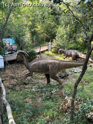[P15] Dino Park Funtana » foto by krisstinna
 - 
<span class="allrVoted glyphicon glyphicon-heart hidden" id="av1397239"></span>
<a class="m-l-10 hidden" id="sv1397239" onclick="voting_Foto_DelVot(,1397239,28315)" role="button">șterge vot <span class="glyphicon glyphicon-remove"></span></a>
<a id="v91397239" class=" c-red"  onclick="voting_Foto_SetVot(1397239)" role="button"><span class="glyphicon glyphicon-heart-empty"></span> <b>LIKE</b> = Votează poza</a> <img class="hidden"  id="f1397239W9" src="/imagini/loader.gif" border="0" /><span class="AjErrMes hidden" id="e1397239ErM"></span>