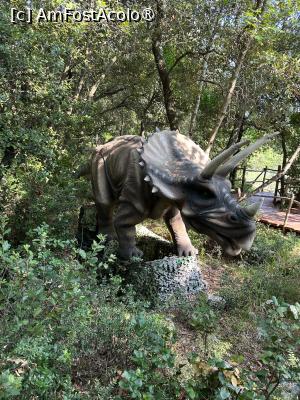 [P16] Dino Park Funtana » foto by krisstinna
 - 
<span class="allrVoted glyphicon glyphicon-heart hidden" id="av1397240"></span>
<a class="m-l-10 hidden" id="sv1397240" onclick="voting_Foto_DelVot(,1397240,28315)" role="button">șterge vot <span class="glyphicon glyphicon-remove"></span></a>
<a id="v91397240" class=" c-red"  onclick="voting_Foto_SetVot(1397240)" role="button"><span class="glyphicon glyphicon-heart-empty"></span> <b>LIKE</b> = Votează poza</a> <img class="hidden"  id="f1397240W9" src="/imagini/loader.gif" border="0" /><span class="AjErrMes hidden" id="e1397240ErM"></span>