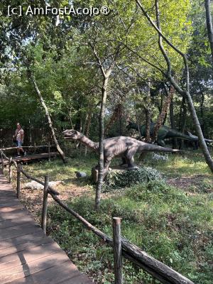 [P17] Dino Park Funtana » foto by krisstinna
 - 
<span class="allrVoted glyphicon glyphicon-heart hidden" id="av1397241"></span>
<a class="m-l-10 hidden" id="sv1397241" onclick="voting_Foto_DelVot(,1397241,28315)" role="button">șterge vot <span class="glyphicon glyphicon-remove"></span></a>
<a id="v91397241" class=" c-red"  onclick="voting_Foto_SetVot(1397241)" role="button"><span class="glyphicon glyphicon-heart-empty"></span> <b>LIKE</b> = Votează poza</a> <img class="hidden"  id="f1397241W9" src="/imagini/loader.gif" border="0" /><span class="AjErrMes hidden" id="e1397241ErM"></span>
