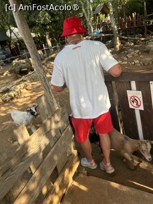 [P22] Dino Park Funtana » foto by krisstinna
 - 
<span class="allrVoted glyphicon glyphicon-heart hidden" id="av1397246"></span>
<a class="m-l-10 hidden" id="sv1397246" onclick="voting_Foto_DelVot(,1397246,28315)" role="button">șterge vot <span class="glyphicon glyphicon-remove"></span></a>
<a id="v91397246" class=" c-red"  onclick="voting_Foto_SetVot(1397246)" role="button"><span class="glyphicon glyphicon-heart-empty"></span> <b>LIKE</b> = Votează poza</a> <img class="hidden"  id="f1397246W9" src="/imagini/loader.gif" border="0" /><span class="AjErrMes hidden" id="e1397246ErM"></span>