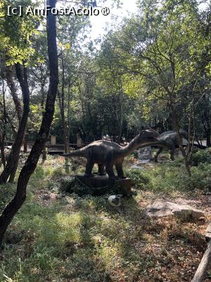 [P27] Dino Park Funtana » foto by krisstinna
 - 
<span class="allrVoted glyphicon glyphicon-heart hidden" id="av1397251"></span>
<a class="m-l-10 hidden" id="sv1397251" onclick="voting_Foto_DelVot(,1397251,28315)" role="button">șterge vot <span class="glyphicon glyphicon-remove"></span></a>
<a id="v91397251" class=" c-red"  onclick="voting_Foto_SetVot(1397251)" role="button"><span class="glyphicon glyphicon-heart-empty"></span> <b>LIKE</b> = Votează poza</a> <img class="hidden"  id="f1397251W9" src="/imagini/loader.gif" border="0" /><span class="AjErrMes hidden" id="e1397251ErM"></span>