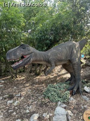 [P28] Dino Park Funtana » foto by krisstinna
 - 
<span class="allrVoted glyphicon glyphicon-heart hidden" id="av1397252"></span>
<a class="m-l-10 hidden" id="sv1397252" onclick="voting_Foto_DelVot(,1397252,28315)" role="button">șterge vot <span class="glyphicon glyphicon-remove"></span></a>
<a id="v91397252" class=" c-red"  onclick="voting_Foto_SetVot(1397252)" role="button"><span class="glyphicon glyphicon-heart-empty"></span> <b>LIKE</b> = Votează poza</a> <img class="hidden"  id="f1397252W9" src="/imagini/loader.gif" border="0" /><span class="AjErrMes hidden" id="e1397252ErM"></span>