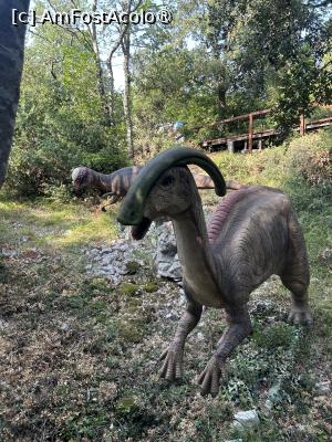 [P29] Dino Park Funtana » foto by krisstinna
 - 
<span class="allrVoted glyphicon glyphicon-heart hidden" id="av1397253"></span>
<a class="m-l-10 hidden" id="sv1397253" onclick="voting_Foto_DelVot(,1397253,28315)" role="button">șterge vot <span class="glyphicon glyphicon-remove"></span></a>
<a id="v91397253" class=" c-red"  onclick="voting_Foto_SetVot(1397253)" role="button"><span class="glyphicon glyphicon-heart-empty"></span> <b>LIKE</b> = Votează poza</a> <img class="hidden"  id="f1397253W9" src="/imagini/loader.gif" border="0" /><span class="AjErrMes hidden" id="e1397253ErM"></span>