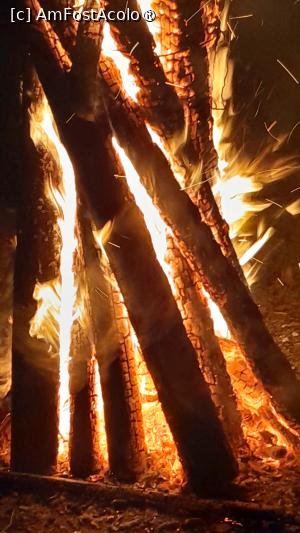 [P36] foc de tabara pe malul râului Râusor » foto by Yolanda
 - 
<span class="allrVoted glyphicon glyphicon-heart hidden" id="av1398385"></span>
<a class="m-l-10 hidden" id="sv1398385" onclick="voting_Foto_DelVot(,1398385,28323)" role="button">șterge vot <span class="glyphicon glyphicon-remove"></span></a>
<a id="v91398385" class=" c-red"  onclick="voting_Foto_SetVot(1398385)" role="button"><span class="glyphicon glyphicon-heart-empty"></span> <b>LIKE</b> = Votează poza</a> <img class="hidden"  id="f1398385W9" src="/imagini/loader.gif" border="0" /><span class="AjErrMes hidden" id="e1398385ErM"></span>