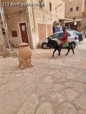 [P07] orasul El Ateuf » foto by robert
 - 
<span class="allrVoted glyphicon glyphicon-heart hidden" id="av1399193"></span>
<a class="m-l-10 hidden" id="sv1399193" onclick="voting_Foto_DelVot(,1399193,28326)" role="button">șterge vot <span class="glyphicon glyphicon-remove"></span></a>
<a id="v91399193" class=" c-red"  onclick="voting_Foto_SetVot(1399193)" role="button"><span class="glyphicon glyphicon-heart-empty"></span> <b>LIKE</b> = Votează poza</a> <img class="hidden"  id="f1399193W9" src="/imagini/loader.gif" border="0" /><span class="AjErrMes hidden" id="e1399193ErM"></span>