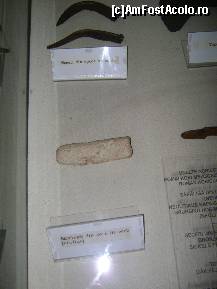 [P10] Muzeul de Etnografie Tg. Mures - sapaliga din corn de cerb din neolitic , seceri din epoca bronzului » foto by biancuta
 - 
<span class="allrVoted glyphicon glyphicon-heart hidden" id="av162861"></span>
<a class="m-l-10 hidden" id="sv162861" onclick="voting_Foto_DelVot(,162861,28328)" role="button">șterge vot <span class="glyphicon glyphicon-remove"></span></a>
<a id="v9162861" class=" c-red"  onclick="voting_Foto_SetVot(162861)" role="button"><span class="glyphicon glyphicon-heart-empty"></span> <b>LIKE</b> = Votează poza</a> <img class="hidden"  id="f162861W9" src="/imagini/loader.gif" border="0" /><span class="AjErrMes hidden" id="e162861ErM"></span>