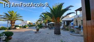 [P12] De la masa unde am stat la micul-dejun » foto by irinad
 - 
<span class="allrVoted glyphicon glyphicon-heart hidden" id="av1399765"></span>
<a class="m-l-10 hidden" id="sv1399765" onclick="voting_Foto_DelVot(,1399765,28331)" role="button">șterge vot <span class="glyphicon glyphicon-remove"></span></a>
<a id="v91399765" class=" c-red"  onclick="voting_Foto_SetVot(1399765)" role="button"><span class="glyphicon glyphicon-heart-empty"></span> <b>LIKE</b> = Votează poza</a> <img class="hidden"  id="f1399765W9" src="/imagini/loader.gif" border="0" /><span class="AjErrMes hidden" id="e1399765ErM"></span>