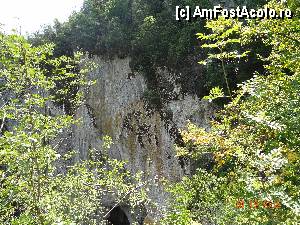 [P17] Spre pestera Topolnita - Versantul de deasupra intrarii Gura Prosacului - pe acolo pe sus este traseul cu cerc galben » foto by TaniaT
 - 
<span class="allrVoted glyphicon glyphicon-heart hidden" id="av354513"></span>
<a class="m-l-10 hidden" id="sv354513" onclick="voting_Foto_DelVot(,354513,28333)" role="button">șterge vot <span class="glyphicon glyphicon-remove"></span></a>
<a id="v9354513" class=" c-red"  onclick="voting_Foto_SetVot(354513)" role="button"><span class="glyphicon glyphicon-heart-empty"></span> <b>LIKE</b> = Votează poza</a> <img class="hidden"  id="f354513W9" src="/imagini/loader.gif" border="0" /><span class="AjErrMes hidden" id="e354513ErM"></span>