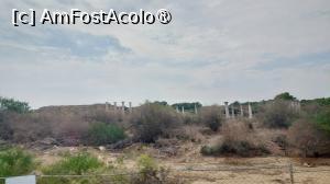 [P01] Situl arheologic Salamis » foto by Carmen Ion
 - 
<span class="allrVoted glyphicon glyphicon-heart hidden" id="av1400768"></span>
<a class="m-l-10 hidden" id="sv1400768" onclick="voting_Foto_DelVot(,1400768,28337)" role="button">șterge vot <span class="glyphicon glyphicon-remove"></span></a>
<a id="v91400768" class=" c-red"  onclick="voting_Foto_SetVot(1400768)" role="button"><span class="glyphicon glyphicon-heart-empty"></span> <b>LIKE</b> = Votează poza</a> <img class="hidden"  id="f1400768W9" src="/imagini/loader.gif" border="0" /><span class="AjErrMes hidden" id="e1400768ErM"></span>