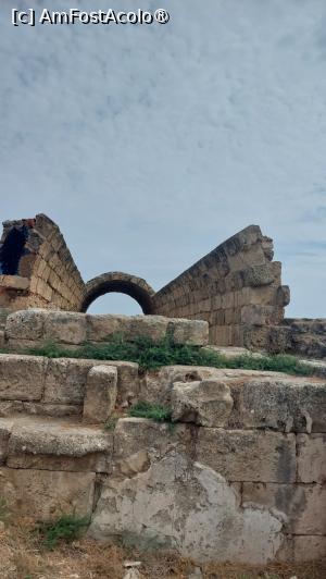[P18] Situl arheologic Salamis » foto by Carmen Ion
 - 
<span class="allrVoted glyphicon glyphicon-heart hidden" id="av1400785"></span>
<a class="m-l-10 hidden" id="sv1400785" onclick="voting_Foto_DelVot(,1400785,28337)" role="button">șterge vot <span class="glyphicon glyphicon-remove"></span></a>
<a id="v91400785" class=" c-red"  onclick="voting_Foto_SetVot(1400785)" role="button"><span class="glyphicon glyphicon-heart-empty"></span> <b>LIKE</b> = Votează poza</a> <img class="hidden"  id="f1400785W9" src="/imagini/loader.gif" border="0" /><span class="AjErrMes hidden" id="e1400785ErM"></span>