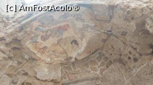 [P20] Situl arheologic Salamis » foto by Carmen Ion
 - 
<span class="allrVoted glyphicon glyphicon-heart hidden" id="av1400787"></span>
<a class="m-l-10 hidden" id="sv1400787" onclick="voting_Foto_DelVot(,1400787,28337)" role="button">șterge vot <span class="glyphicon glyphicon-remove"></span></a>
<a id="v91400787" class=" c-red"  onclick="voting_Foto_SetVot(1400787)" role="button"><span class="glyphicon glyphicon-heart-empty"></span> <b>LIKE</b> = Votează poza</a> <img class="hidden"  id="f1400787W9" src="/imagini/loader.gif" border="0" /><span class="AjErrMes hidden" id="e1400787ErM"></span>