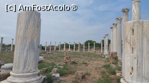 [P08] Situl arheologic Salamis » foto by Carmen Ion
 - 
<span class="allrVoted glyphicon glyphicon-heart hidden" id="av1400775"></span>
<a class="m-l-10 hidden" id="sv1400775" onclick="voting_Foto_DelVot(,1400775,28337)" role="button">șterge vot <span class="glyphicon glyphicon-remove"></span></a>
<a id="v91400775" class=" c-red"  onclick="voting_Foto_SetVot(1400775)" role="button"><span class="glyphicon glyphicon-heart-empty"></span> <b>LIKE</b> = Votează poza</a> <img class="hidden"  id="f1400775W9" src="/imagini/loader.gif" border="0" /><span class="AjErrMes hidden" id="e1400775ErM"></span>