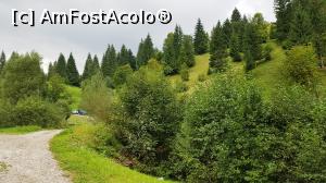 [P16] Cum sa ramai insensibil la asemenea tablouri » foto by DOINITA
 - 
<span class="allrVoted glyphicon glyphicon-heart hidden" id="av1009942"></span>
<a class="m-l-10 hidden" id="sv1009942" onclick="voting_Foto_DelVot(,1009942,28345)" role="button">șterge vot <span class="glyphicon glyphicon-remove"></span></a>
<a id="v91009942" class=" c-red"  onclick="voting_Foto_SetVot(1009942)" role="button"><span class="glyphicon glyphicon-heart-empty"></span> <b>LIKE</b> = Votează poza</a> <img class="hidden"  id="f1009942W9" src="/imagini/loader.gif" border="0" /><span class="AjErrMes hidden" id="e1009942ErM"></span>