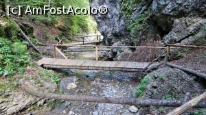 [P10] Vedere spre aval în partea mediană (sectorul de jos) al cheilor » foto by Lucien
 - 
<span class="allrVoted glyphicon glyphicon-heart hidden" id="av840293"></span>
<a class="m-l-10 hidden" id="sv840293" onclick="voting_Foto_DelVot(,840293,28345)" role="button">șterge vot <span class="glyphicon glyphicon-remove"></span></a>
<a id="v9840293" class=" c-red"  onclick="voting_Foto_SetVot(840293)" role="button"><span class="glyphicon glyphicon-heart-empty"></span> <b>LIKE</b> = Votează poza</a> <img class="hidden"  id="f840293W9" src="/imagini/loader.gif" border="0" /><span class="AjErrMes hidden" id="e840293ErM"></span>