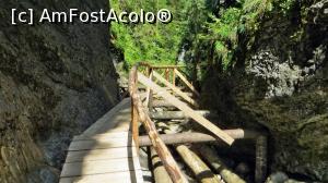 [P12] Zona cea mai îngustă a cheilor. Puntea direcțională a fost montată direct deasupra pârâului. Surplobele din ambii versanți sugerează formarea cheilor și prin prăbușirea tavanului unor peșteri » foto by Lucien
 - 
<span class="allrVoted glyphicon glyphicon-heart hidden" id="av840295"></span>
<a class="m-l-10 hidden" id="sv840295" onclick="voting_Foto_DelVot(,840295,28345)" role="button">șterge vot <span class="glyphicon glyphicon-remove"></span></a>
<a id="v9840295" class=" c-red"  onclick="voting_Foto_SetVot(840295)" role="button"><span class="glyphicon glyphicon-heart-empty"></span> <b>LIKE</b> = Votează poza</a> <img class="hidden"  id="f840295W9" src="/imagini/loader.gif" border="0" /><span class="AjErrMes hidden" id="e840295ErM"></span>
