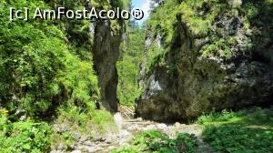 [P13] Imagine spre aval cu intrarea în sectorul de jos, cel mai spectaculos, al cheilor. Intrarea este străjuită de două stânci uriașe, ca niște porți » foto by Lucien
 - 
<span class="allrVoted glyphicon glyphicon-heart hidden" id="av840296"></span>
<a class="m-l-10 hidden" id="sv840296" onclick="voting_Foto_DelVot(,840296,28345)" role="button">șterge vot <span class="glyphicon glyphicon-remove"></span></a>
<a id="v9840296" class=" c-red"  onclick="voting_Foto_SetVot(840296)" role="button"><span class="glyphicon glyphicon-heart-empty"></span> <b>LIKE</b> = Votează poza</a> <img class="hidden"  id="f840296W9" src="/imagini/loader.gif" border="0" /><span class="AjErrMes hidden" id="e840296ErM"></span>