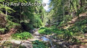 [P15] Vedere spre aval cu zona mai ”liniștită” dintre cele două sectoare spectaculoase ale cheilor. În depărtare se vede intrarea în sectorul din aval, cel mai impresionant » foto by Lucien
 - 
<span class="allrVoted glyphicon glyphicon-heart hidden" id="av840298"></span>
<a class="m-l-10 hidden" id="sv840298" onclick="voting_Foto_DelVot(,840298,28345)" role="button">șterge vot <span class="glyphicon glyphicon-remove"></span></a>
<a id="v9840298" class=" c-red"  onclick="voting_Foto_SetVot(840298)" role="button"><span class="glyphicon glyphicon-heart-empty"></span> <b>LIKE</b> = Votează poza</a> <img class="hidden"  id="f840298W9" src="/imagini/loader.gif" border="0" /><span class="AjErrMes hidden" id="e840298ErM"></span>