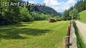 [P21] Peisaj rural cu ”jirezi” de fân pe Valea caselor » foto by Lucien
 - 
<span class="allrVoted glyphicon glyphicon-heart hidden" id="av840310"></span>
<a class="m-l-10 hidden" id="sv840310" onclick="voting_Foto_DelVot(,840310,28345)" role="button">șterge vot <span class="glyphicon glyphicon-remove"></span></a>
<a id="v9840310" class=" c-red"  onclick="voting_Foto_SetVot(840310)" role="button"><span class="glyphicon glyphicon-heart-empty"></span> <b>LIKE</b> = Votează poza</a> <img class="hidden"  id="f840310W9" src="/imagini/loader.gif" border="0" /><span class="AjErrMes hidden" id="e840310ErM"></span>