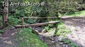 [P05] Trecând peste puntea ”suspinelor” de la capătul drumului forestier, începe marea aventură. Mai sunt circa 200m până la chei » foto by Lucien
 - 
<span class="allrVoted glyphicon glyphicon-heart hidden" id="av840287"></span>
<a class="m-l-10 hidden" id="sv840287" onclick="voting_Foto_DelVot(,840287,28345)" role="button">șterge vot <span class="glyphicon glyphicon-remove"></span></a>
<a id="v9840287" class=" c-red"  onclick="voting_Foto_SetVot(840287)" role="button"><span class="glyphicon glyphicon-heart-empty"></span> <b>LIKE</b> = Votează poza</a> <img class="hidden"  id="f840287W9" src="/imagini/loader.gif" border="0" /><span class="AjErrMes hidden" id="e840287ErM"></span>