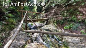 [P07] Punți și podețe măiestrit construite pentru accesul turiștilor în zona cheilor » foto by Lucien
 - 
<span class="allrVoted glyphicon glyphicon-heart hidden" id="av840289"></span>
<a class="m-l-10 hidden" id="sv840289" onclick="voting_Foto_DelVot(,840289,28345)" role="button">șterge vot <span class="glyphicon glyphicon-remove"></span></a>
<a id="v9840289" class=" c-red"  onclick="voting_Foto_SetVot(840289)" role="button"><span class="glyphicon glyphicon-heart-empty"></span> <b>LIKE</b> = Votează poza</a> <img class="hidden"  id="f840289W9" src="/imagini/loader.gif" border="0" /><span class="AjErrMes hidden" id="e840289ErM"></span>