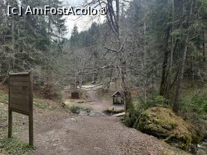 [P15] Cheile Moara Dracului » foto by adso
 - 
<span class="allrVoted glyphicon glyphicon-heart hidden" id="av1401880"></span>
<a class="m-l-10 hidden" id="sv1401880" onclick="voting_Foto_DelVot(,1401880,28345)" role="button">șterge vot <span class="glyphicon glyphicon-remove"></span></a>
<a id="v91401880" class=" c-red"  onclick="voting_Foto_SetVot(1401880)" role="button"><span class="glyphicon glyphicon-heart-empty"></span> <b>LIKE</b> = Votează poza</a> <img class="hidden"  id="f1401880W9" src="/imagini/loader.gif" border="0" /><span class="AjErrMes hidden" id="e1401880ErM"></span>