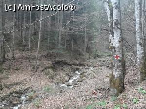 [P16] Cheile Moara Dracului » foto by adso
 - 
<span class="allrVoted glyphicon glyphicon-heart hidden" id="av1401881"></span>
<a class="m-l-10 hidden" id="sv1401881" onclick="voting_Foto_DelVot(,1401881,28345)" role="button">șterge vot <span class="glyphicon glyphicon-remove"></span></a>
<a id="v91401881" class=" c-red"  onclick="voting_Foto_SetVot(1401881)" role="button"><span class="glyphicon glyphicon-heart-empty"></span> <b>LIKE</b> = Votează poza</a> <img class="hidden"  id="f1401881W9" src="/imagini/loader.gif" border="0" /><span class="AjErrMes hidden" id="e1401881ErM"></span>