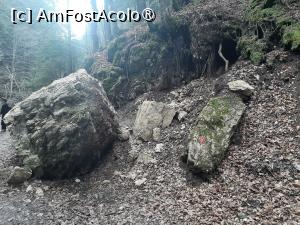 [P18] Cheile Moara Dracului » foto by adso
 - 
<span class="allrVoted glyphicon glyphicon-heart hidden" id="av1401883"></span>
<a class="m-l-10 hidden" id="sv1401883" onclick="voting_Foto_DelVot(,1401883,28345)" role="button">șterge vot <span class="glyphicon glyphicon-remove"></span></a>
<a id="v91401883" class=" c-red"  onclick="voting_Foto_SetVot(1401883)" role="button"><span class="glyphicon glyphicon-heart-empty"></span> <b>LIKE</b> = Votează poza</a> <img class="hidden"  id="f1401883W9" src="/imagini/loader.gif" border="0" /><span class="AjErrMes hidden" id="e1401883ErM"></span>