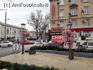 [P03] Aleea de acces către parcarea blocului » foto by adso
 - 
<span class="allrVoted glyphicon glyphicon-heart hidden" id="av1402503"></span>
<a class="m-l-10 hidden" id="sv1402503" onclick="voting_Foto_DelVot(,1402503,28351)" role="button">șterge vot <span class="glyphicon glyphicon-remove"></span></a>
<a id="v91402503" class=" c-red"  onclick="voting_Foto_SetVot(1402503)" role="button"><span class="glyphicon glyphicon-heart-empty"></span> <b>LIKE</b> = Votează poza</a> <img class="hidden"  id="f1402503W9" src="/imagini/loader.gif" border="0" /><span class="AjErrMes hidden" id="e1402503ErM"></span>