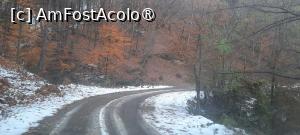 [P10] Joc de culori în pădurea de lângă Mănăstirea Jgheaburi » foto by mprofeanu
 - 
<span class="allrVoted glyphicon glyphicon-heart hidden" id="av1404032"></span>
<a class="m-l-10 hidden" id="sv1404032" onclick="voting_Foto_DelVot(,1404032,28367)" role="button">șterge vot <span class="glyphicon glyphicon-remove"></span></a>
<a id="v91404032" class=" c-red"  onclick="voting_Foto_SetVot(1404032)" role="button"><span class="glyphicon glyphicon-heart-empty"></span> <b>LIKE</b> = Votează poza</a> <img class="hidden"  id="f1404032W9" src="/imagini/loader.gif" border="0" /><span class="AjErrMes hidden" id="e1404032ErM"></span>