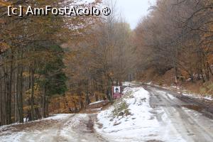 [P13] Drumul Forestier merge înainte, se vede bariera, Drumul Mănăstirii coboară la Mănăstire, uneori destul de abrupt » foto by mprofeanu
 - 
<span class="allrVoted glyphicon glyphicon-heart hidden" id="av1404035"></span>
<a class="m-l-10 hidden" id="sv1404035" onclick="voting_Foto_DelVot(,1404035,28367)" role="button">șterge vot <span class="glyphicon glyphicon-remove"></span></a>
<a id="v91404035" class=" c-red"  onclick="voting_Foto_SetVot(1404035)" role="button"><span class="glyphicon glyphicon-heart-empty"></span> <b>LIKE</b> = Votează poza</a> <img class="hidden"  id="f1404035W9" src="/imagini/loader.gif" border="0" /><span class="AjErrMes hidden" id="e1404035ErM"></span>
